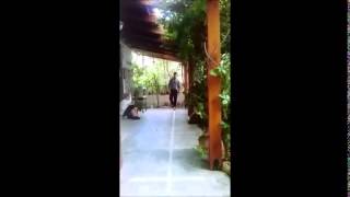 6m timed hop test