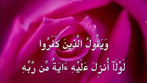 013 - Surah Ar-Ra'd - 27-29 - Yasser Al-Dosary - سورة الرّعد - ياسر الدوسري