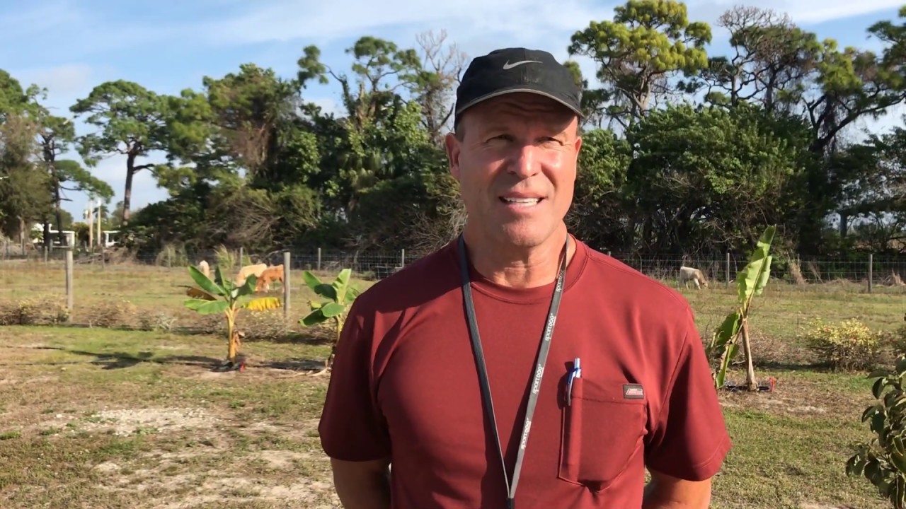 What We Grow on Pine Island Pineshine Farms YouTube