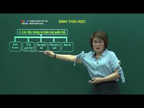 Video: Hệ Sinh Thái Học Tập