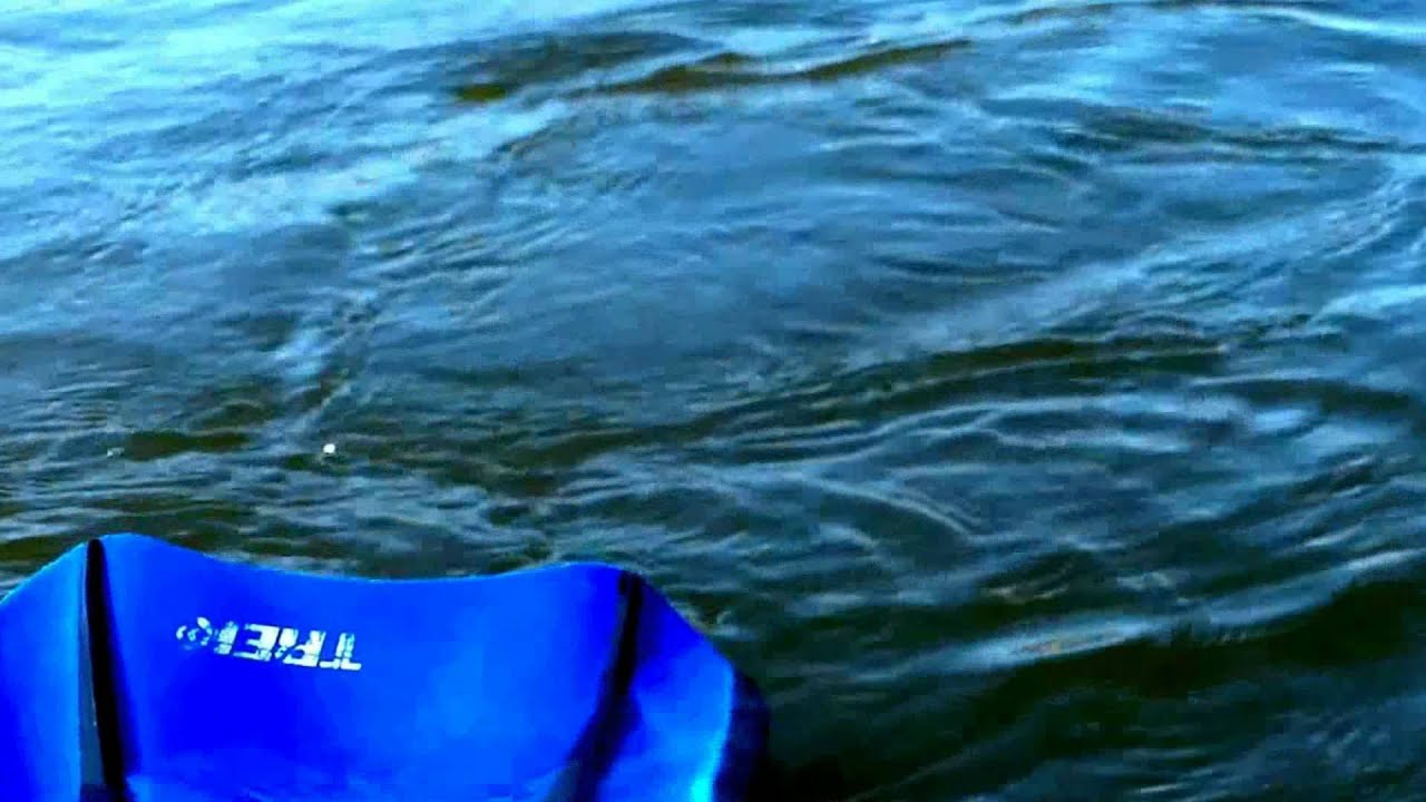 Slab Jiggies Recent winter catches