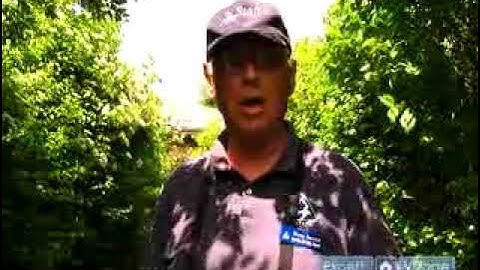 How to Identify the House Wren when Backyard Bird Watching