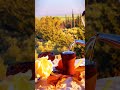 عصام الشوالي الخواف الجبان يروح   