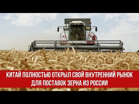 Видео: Когда Китай открыл свои границы?