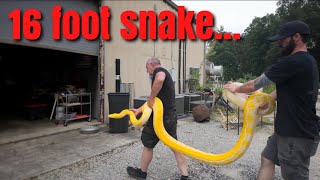 Famous 16 FOOT SNAKE!!!! Net Worth