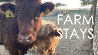 Our Airbnb Farm Stays