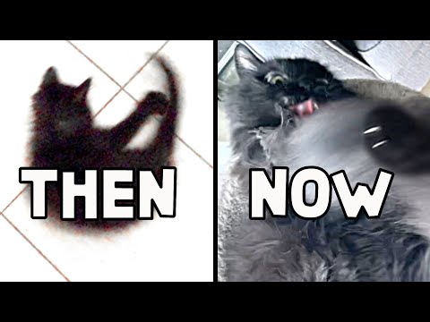 Chasing Her Tail 11 Years Later!