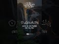 হৃদয় স্পর্শ করা কণ্ঠেI I Surah Al Mulk #surahalmulk #qurantilawat #islamicvideo #quran #motivation