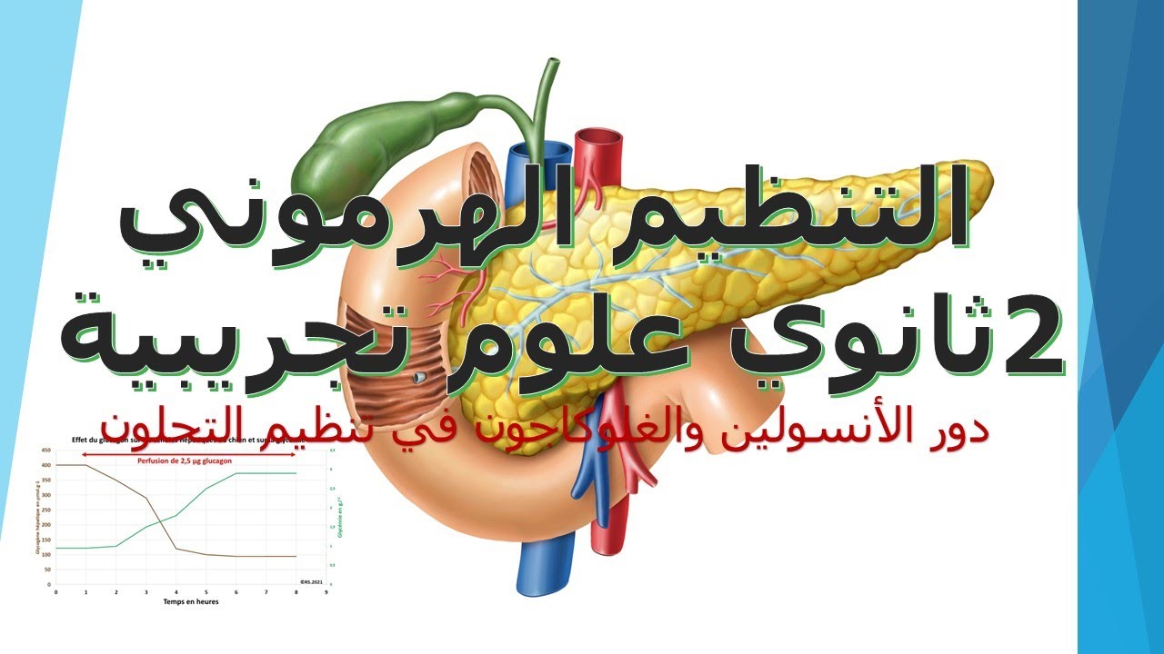 درس7:التنظيم الهرموني  الجزء الأول: دور الالأنسولين والغلوكاجون في تعديل التحلون سنة 2 علوم تجريبية