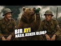Polonya Ordusunun Gizli Kahramanı Bir Ayı mıydı?