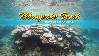 Snorkeling in Okinawa at Kibougaoka Beach
