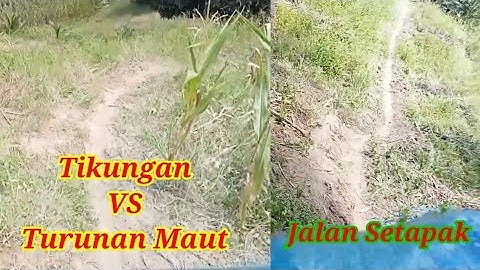 ojek jagung muat 4 karung lokasi curam dan terjal @Hobi_ojekjagung_gorontalo hobi ojek jagung gorontalo