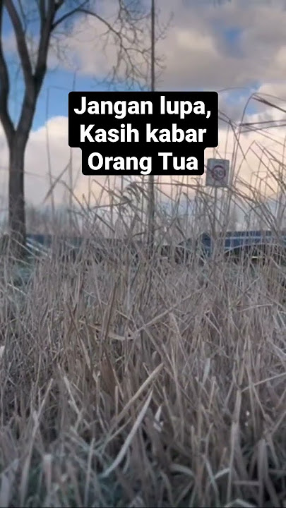 #blink #freefire #pubgmobile #cat #kitten #kucing