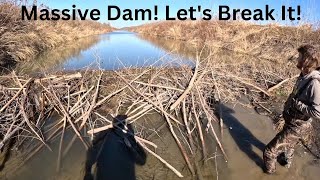 Removing a beaver dam that’s blocking a drainage ditch!