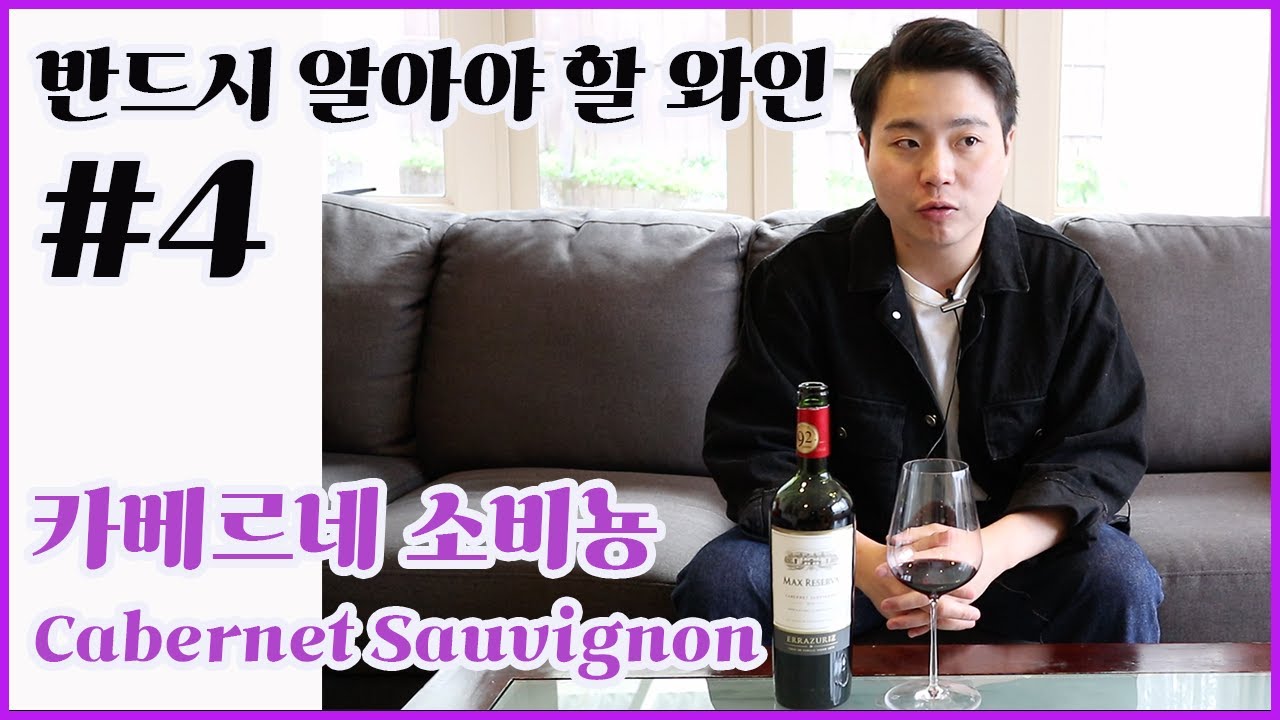 와인 입문자가 반드시 마셔봐야 할 와인 #4 ! 카베르네 소비뇽 (Cabernet Sauvignon)