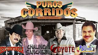 Puros Corridos Mix Para Pistear 🍺 El Coyote, Chuy Lizarraga, Julio Preciado, Valentin Elizalde 🍺