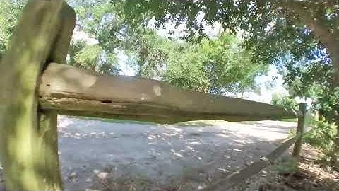 Insta360 go jello...