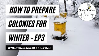 How to Prepare Colonies for Winter - Episode 3 - First Feed - How to Overwinter Beehives