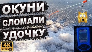 ЛОВЛЯ ОКУНЯ ЗИМОЙ. Рыбинское водохранилище