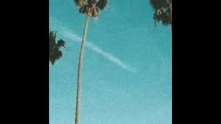 Vicky Salamor-Kepastian( Video Lirik)