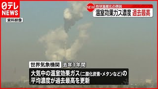 【地球温暖化の原因】温室効果ガス濃度  過去最高を更新