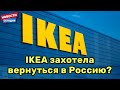 IKEA захотела вернуться в Россию?