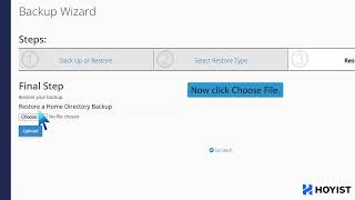How to restore a backup in cPanel with Hoyist screenshot 4
