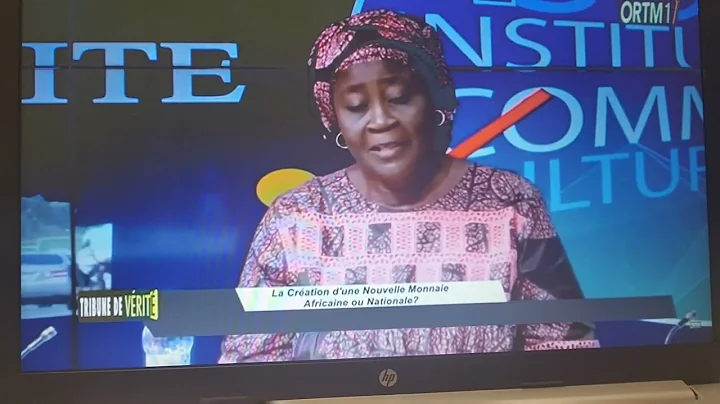 Un débat très intéressant sur le franc des colonies françaises d'Afrique (CFA): à vous de juger