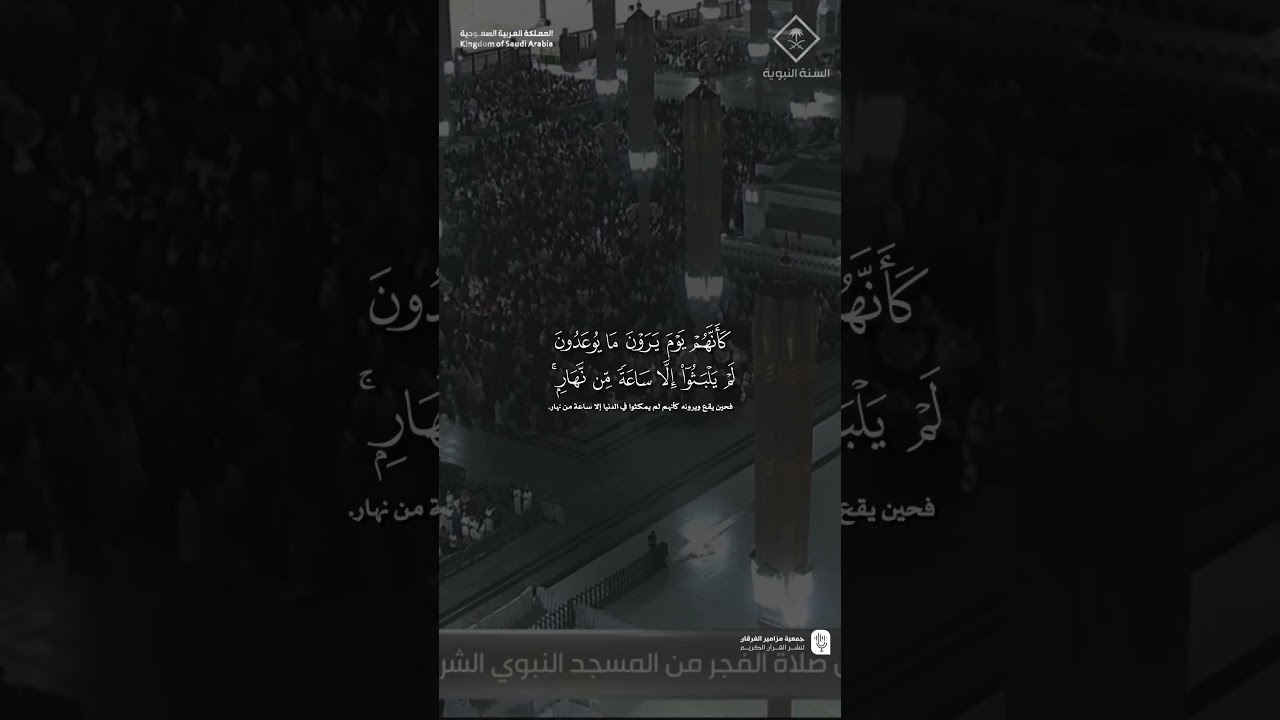 مقتطف من تلاوة فضيلة الشيخ #عبدالله_القرافي من صلاة الفجر 27 ربيع الآخر 1447هـ