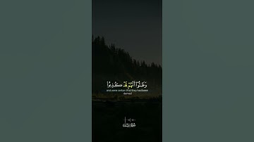 سورة يوسف القارئ عبد الرحمن مسعد