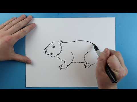 Video: Izciļņa zīmēšana ir ļoti vienkārša