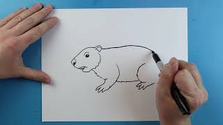 How to Draw a GROUNDHOG!!!