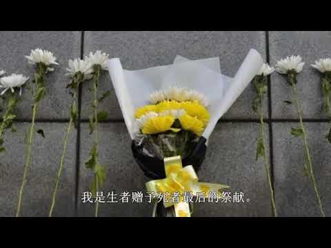 4 花之歌 语文六年级上册 部编版人教版 朗读