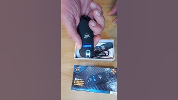 Streetwise Smart Stun Gun With Flashlight