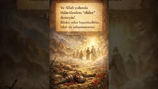 Ve Allah Yolunda Öldürülenlere Ölüler Demeyin Bilakis Hayatdârdırlar, Fakat Anlayamazsınız.