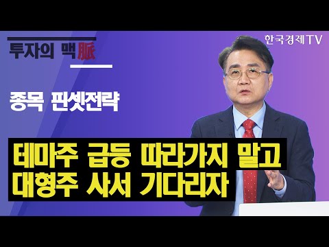 종목 핀셋전략! 테마주 급등 따라가지 말고, 대형주 사서 기다리자 / 이승조의 진짜전략 / 한국경제TV