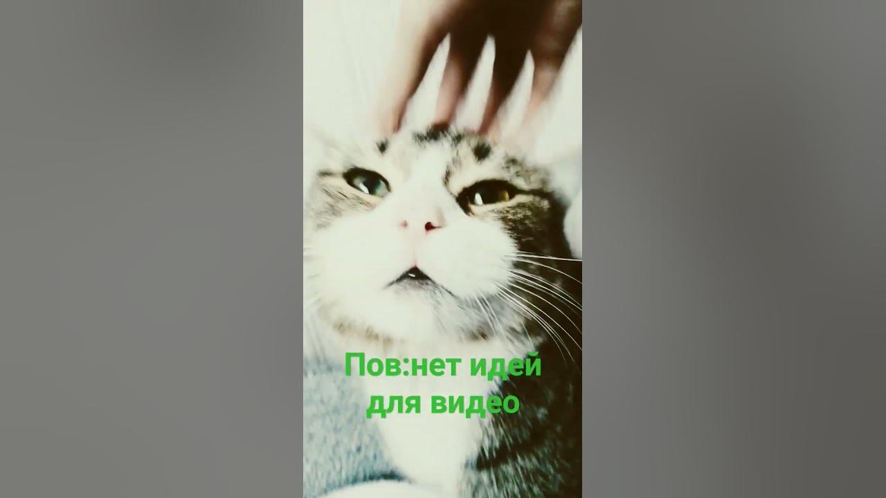 шнип шнап шнапи - YouTube