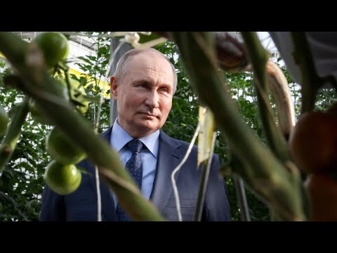 Путин посетил аграрные предприятия в Ставропольском крае и запустил три новых завода