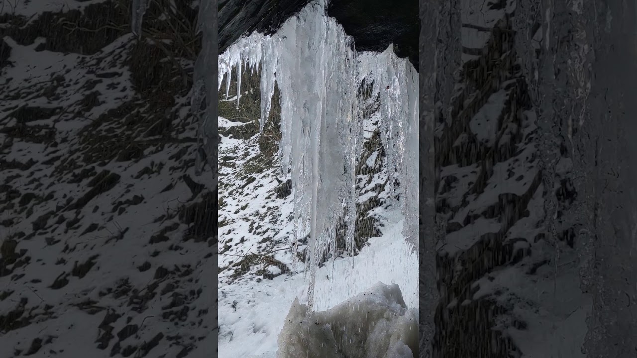 氷瀑 光り輝く 宝石か ブライダルベール 21年02月21日 登山 山行記録 ヤマレコ