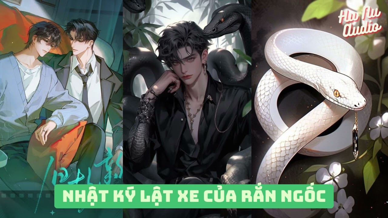 BOY LOVE - ĐAM MỸ| NHẬT KÝ LẬT XE CỦA RẮN NGỐC - ĐÀM TRÚC| HỦ NỮ AUDIO