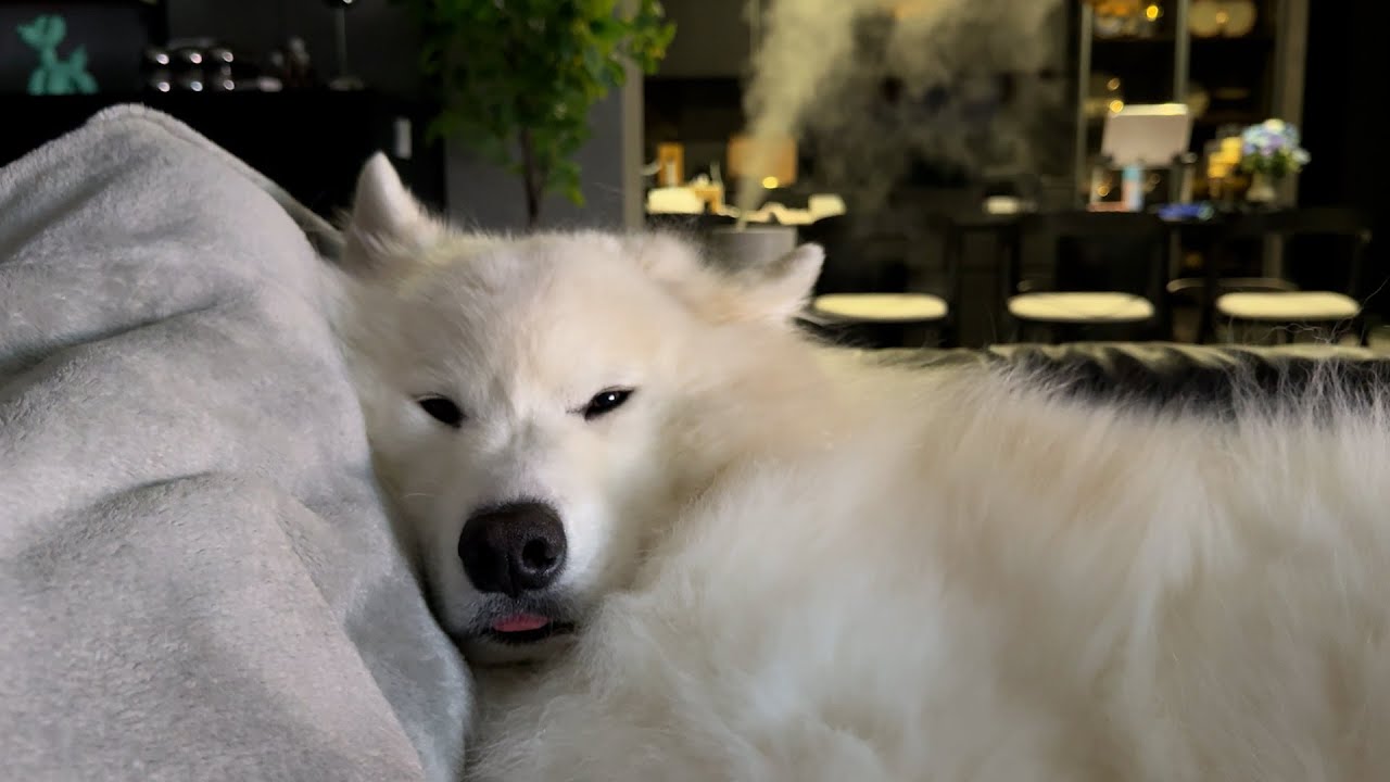 Заезд после долгого перерыва