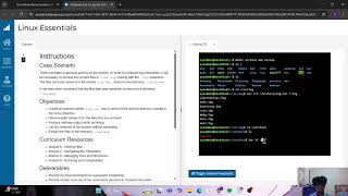 NDG Linux Essentials - Challenge Lab C Log File Archiving
