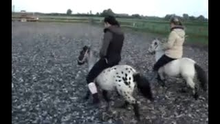 Big Girl Pony Fun 14