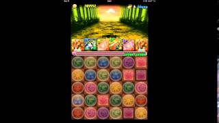 【パズドラ】極限大和ラッシュ！に覚醒ラーで行ってみる【実況】