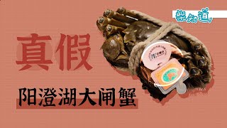 阳澄湖大闸蟹真的更香吗？你买到的蟹有没有阳澄湖户口？