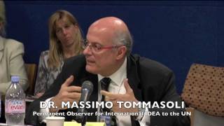 Cross-cutting issues - Massimo Tommasoli