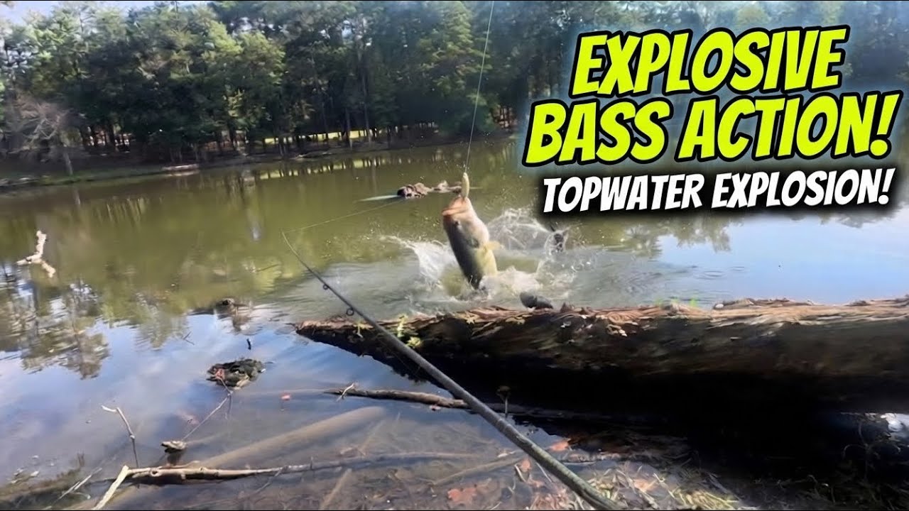 I went fishing armed only with ONE topwater lure!
