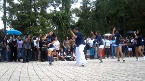 UCF Delta Phi Lambda