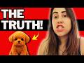WUFFY ROBOT PUPPY REVIEW 2026 (⚠️IS IT TRULY RISK-FREE?) BEFORE YOU BUY WUFFY, WATCH THIS! WUFFY AI