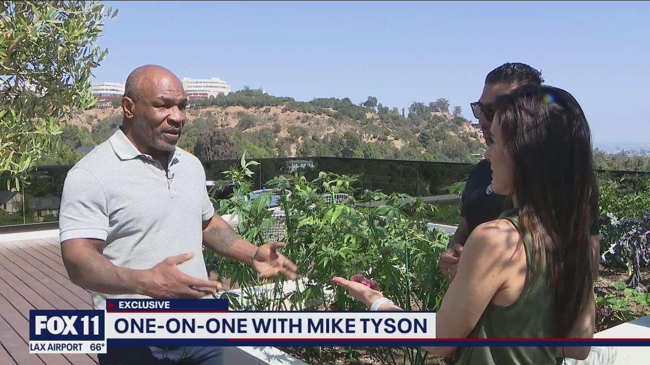 Ora 7 - Rikthimi i Mike Tyson në ring, cilat janë shanset?